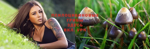 молекула духа Новодвинск