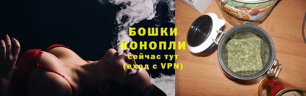 твердый Новокубанск