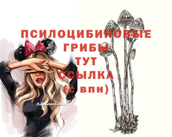 молекула духа Новодвинск