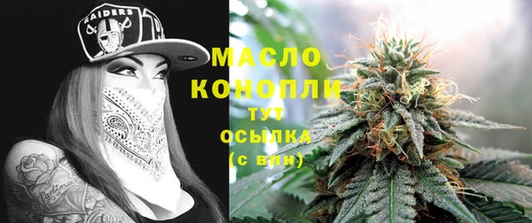 молекула духа Новодвинск