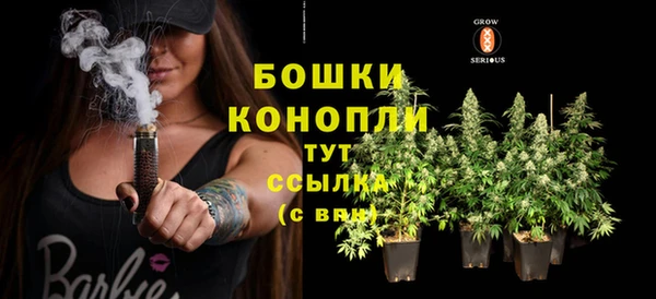 твердый Новокубанск