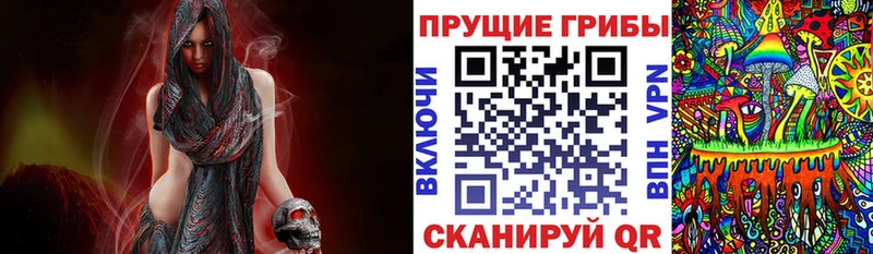 Псилоцибиновые грибы ЛСД  где купить наркоту  Бабушкин 